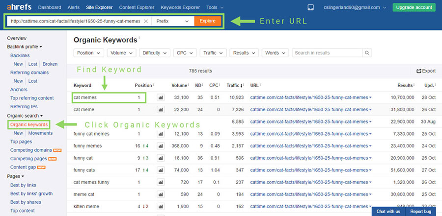 Ahrefs Keyword Rank