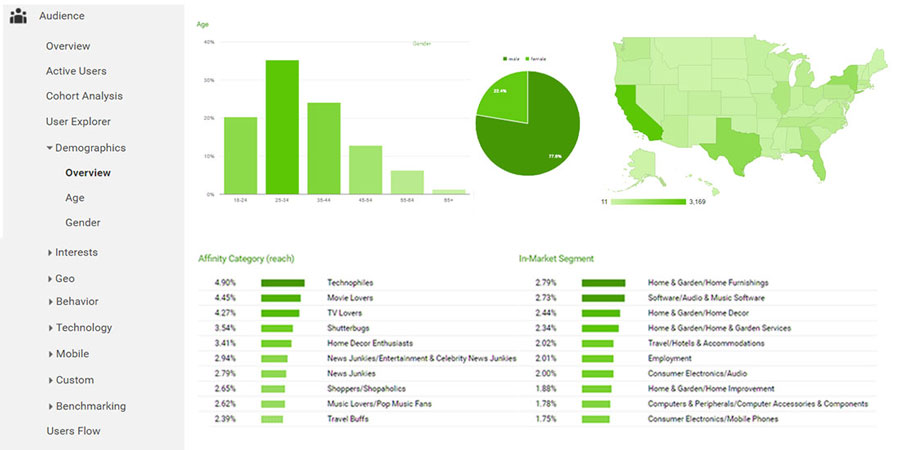 Google Analytics Demographics